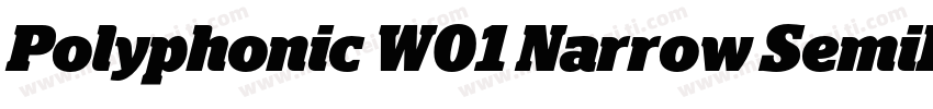 Polyphonic W01 Narrow SemiBold字体转换